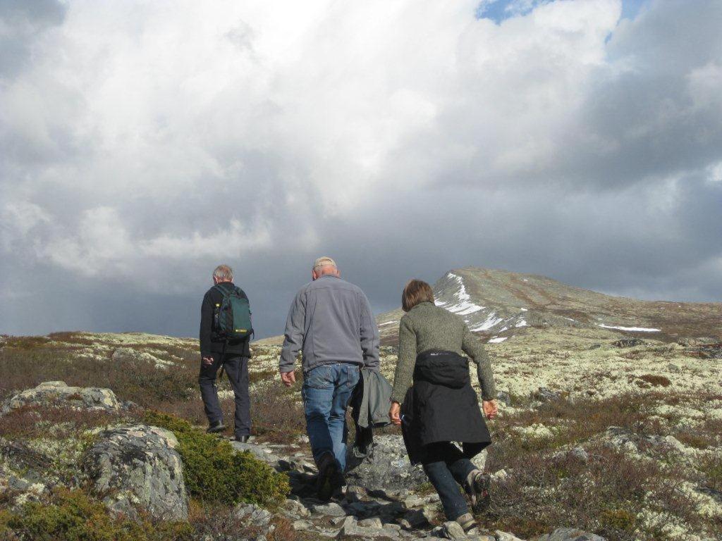 Putten Seter Høvringen Εξωτερικό φωτογραφία