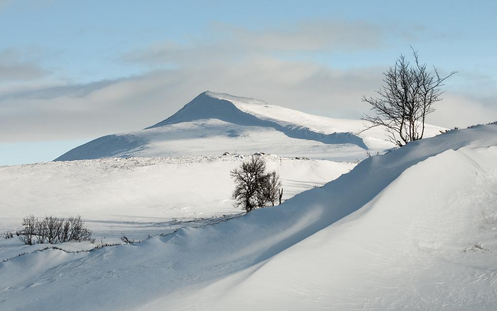 Putten Seter Høvringen Εξωτερικό φωτογραφία